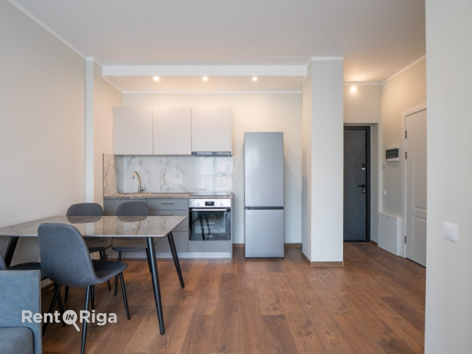 Pieejams plašs un gaišs 2 istabu dzīvoklis ar ērtu plānojumu. Dzīvoklis ir pilnībā Rīga - foto 1