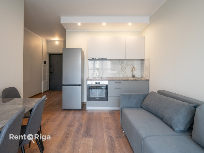 Pieejams plašs un gaišs 2 istabu dzīvoklis ar ērtu plānojumu. Dzīvoklis ir pilnībā Rīga - foto 2