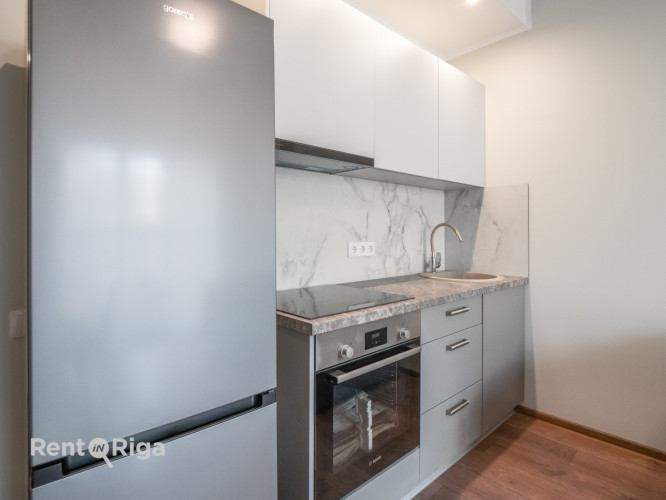 Pieejams plašs un gaišs 2 istabu dzīvoklis ar ērtu plānojumu. Dzīvoklis ir pilnībā Rīga - foto 3