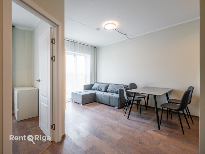 Pieejams plašs un gaišs 2 istabu dzīvoklis ar ērtu plānojumu. Dzīvoklis ir pilnībā Rīga - foto 2