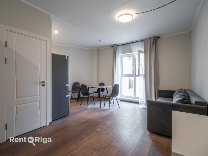 Pieejams plašs un gaišs studio tipa dzīvoklis ar ērtu plānojumu. Dzīvoklis ir pilnībā Rīga - foto 1