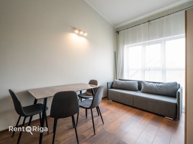 Pieejams plašs un gaišs 2 istabu lofta tipa dzīvoklis ar augstajiem griestiem un ērtu Rīga - foto 2