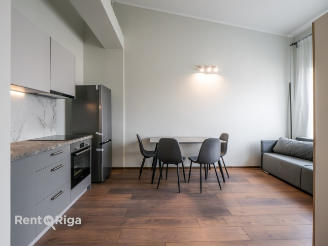 Pieejams plašs un gaišs 2 istabu lofta tipa dzīvoklis ar augstajiem griestiem un ērtu Rīga - foto 3