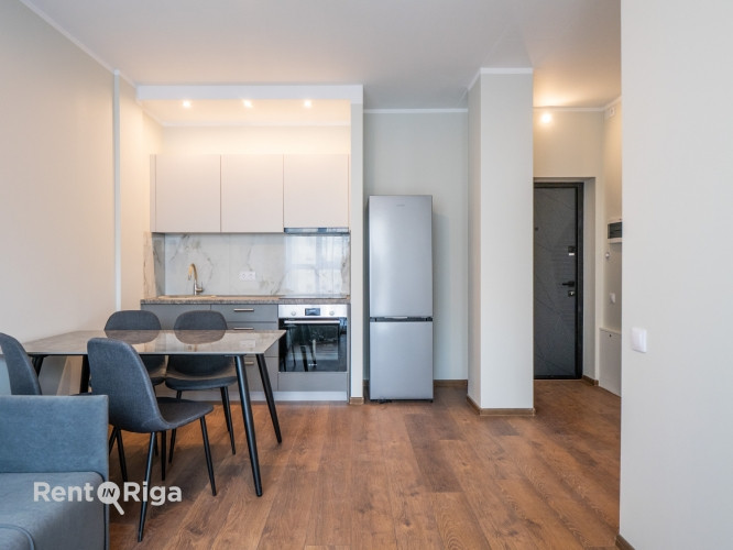 Pieejams plašs un gaišs 2 istabu dzīvoklis ar ērtu plānojumu. Dzīvoklis ir pilnībā Rīga - foto 1