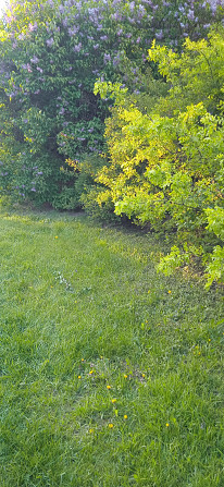 Dārzs pieejams, kamēr ir sludinājums.Skaista vieta, tuvu Salu tilts, peldvieta, atpūtas... Рига - изображение 1