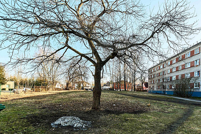 Izcils investīciju objekts klusā Rīgas rajonā.

Pārdošanā 1872 m zemes gabals privātai apbūvei vai i Рига - изображение 5