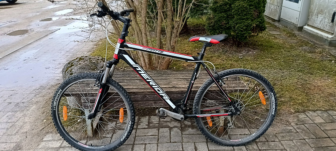 ОТЛИЧНЫЙ ГОРНЫЙ ВЕЛОСИПЕД В ОТЛ. СОСТ. РАЗМЕР 26 СО СКОРОСТЯМИ ЛЁГКИЙ ВСЁ РАБОТАЕТ . НАХОДИТСЯ В... Carnikava - foto 1