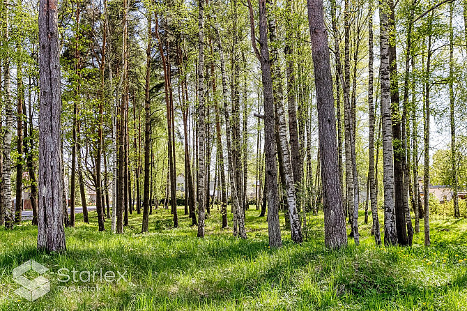 Pārdod zemes gabalu ar platību 2737 m2 Rūpniecības ielā 8, Kauguros. Centrāla atrašanās Jūrmala - foto 11