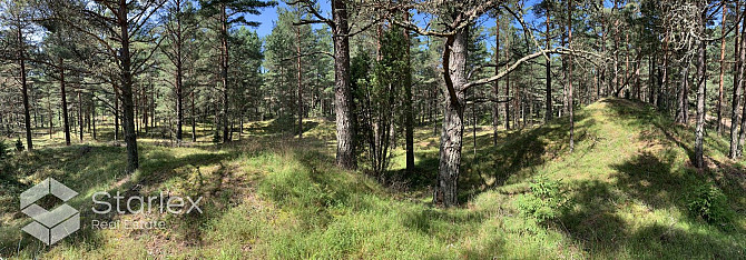 Pārdod zemes īpašumu ar kopējo platību 3,79 ha Mazirbē, pirmajā līnijā no jūras. Lielisks Talsi un novads - foto 11