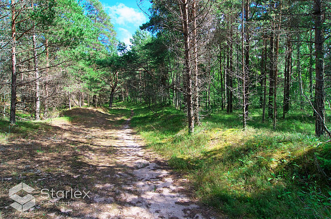 Pārdod zemes īpašumu ar kopējo platību 3,79 ha Mazirbē, pirmajā līnijā no jūras. Lielisks Talsi un novads - foto 15