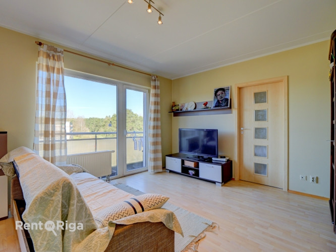 Pārdošanā tiek piedāvāts gaišs, plašs un funkcionāli pārdomāts 3 istabu dzīvoklis Rīga - foto 1