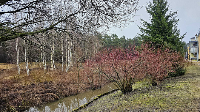 2 istabu dzīvoklis Mežaciems projektā ar balkonu. Izīrē gaišu, siltu un mājīgu 2 istabu dzīvokli... Rīga - foto 8