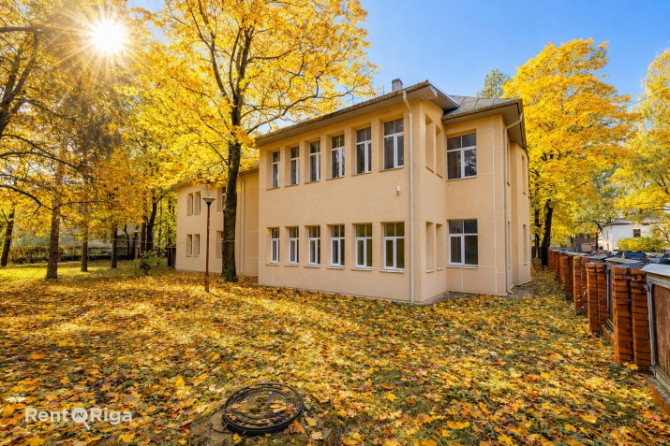 Iegādei tiek piedāvāts 3781 m2 liels zemes gabals uz kura atrodās ēkas.  Īpašums sastāv no Rīga - foto 6