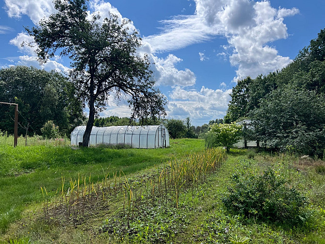 Pārdodu lauku vinsētu ar kopējo zemes platību 4, 4 ha. Uz zemes gabala atrodas dzīvojamā māja 90, ... Rēzekne - foto 12