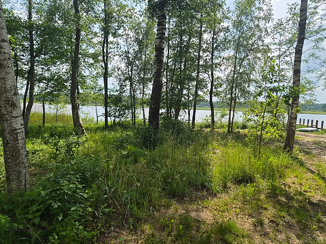 Pārdod skaistu, ainavisku zemes vienību Talsu novadā, Ārlavas pagastā ar skanīgu nosaukumu Talsi un novads - foto 1