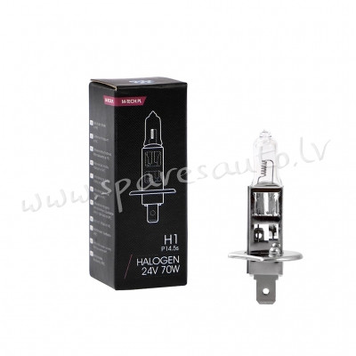 Z901 - H1 24V/55W M-TECH - Spuldzite - UNSORTED HALOGĒNA SPULDZES Rīga - foto 1