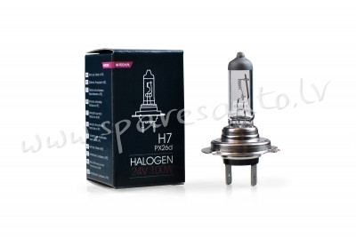 Z979 - H7 M-TECH Halogen bulb PX26d H7 24V/100W - Spuldzite - UNSORTED HALOGĒNA SPULDZES Rīga - foto 1