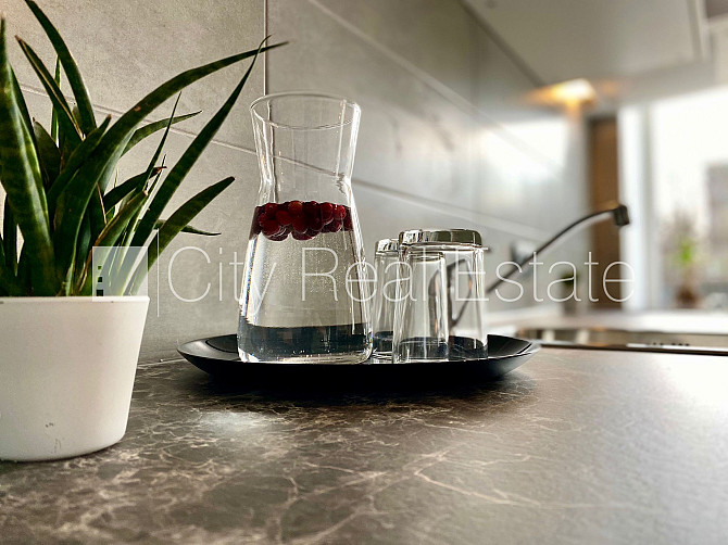 Fasādes māja, renovēta māja, labiekārtots apzaļumots pagalms, apsargāta teritorija, kāpņu Rīga - foto 7