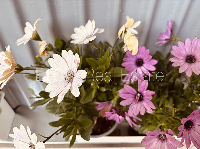 Zemes nomas maksa 4,33 EUR/mēnesī, metāla jumta segums, dzelzsbetona starp stāvu pārsegumi, Rīga - foto 13