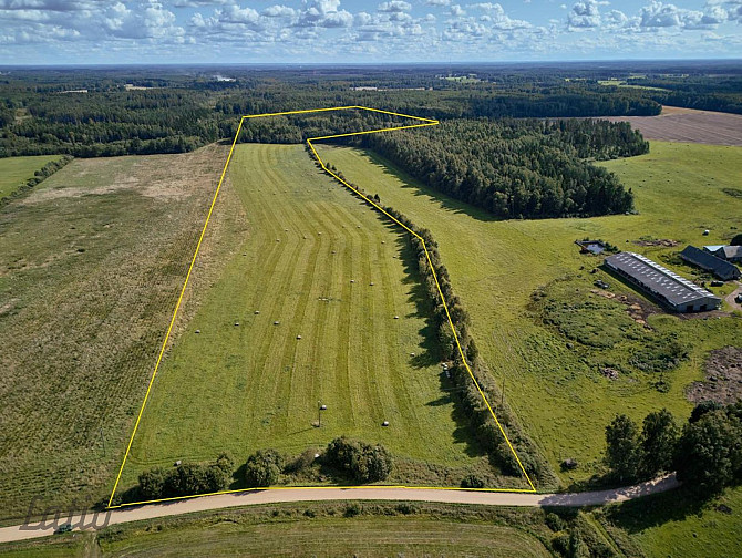 Pārdod īpašumu Valmieras novadā Burtnieku pagastā. Kopējā platība 36,4 ha.
Nekustamā Valmiera un novads - foto 7