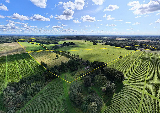 Pārdod īpašumu Valmieras novadā Burtnieku pagastā. Kopējā platība 36,4 ha.
Nekustamā Valmiera un novads - foto 6