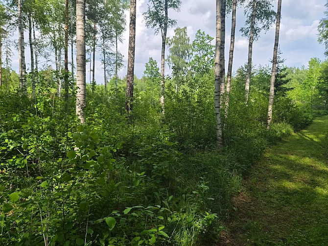 Pārdod skaistu, ainavisku zemes vienību Talsu novadā, Ārlavas pagastā ar skanīgu nosaukumu Talsi un novads - foto 4