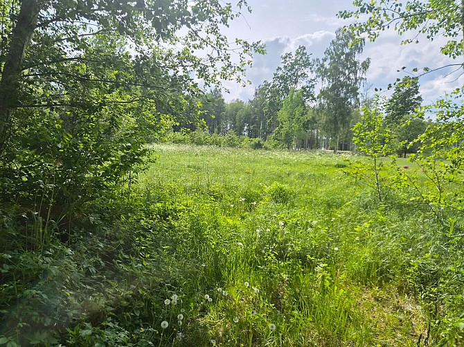 Pārdod skaistu, ainavisku zemes vienību Talsu novadā, Ārlavas pagastā ar skanīgu nosaukumu Talsi un novads - foto 3