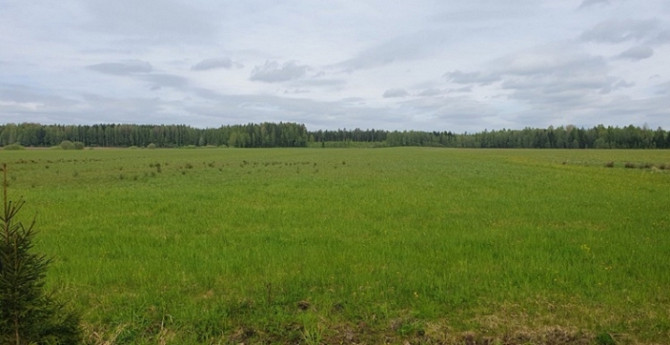 Lauksaimniecības zeme.  Kvalitātes novērtējums ballēs: 45  Vitauti, Rendas pagasts, Kuldīgas Kuldīga un novads - foto 1