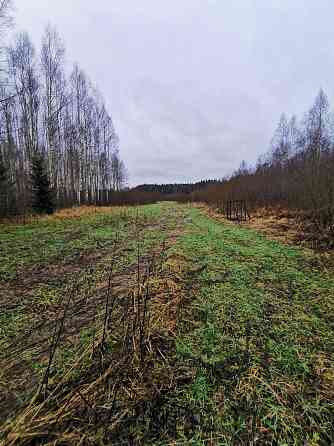 Pārdod divus, blakus esošus zemes īpašumus, to kopējā platība ir 12.49 ha, Lēdurgas pagastā, Sigulda Limbaži un novads