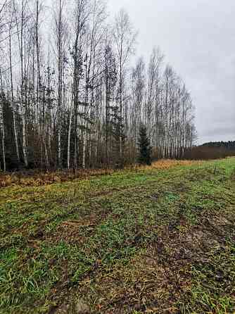 Pārdod divus, blakus esošus zemes īpašumus, to kopējā platība ir 12.49 ha, Lēdurgas pagastā, Sigulda Limbaži un novads