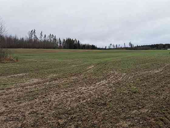 Pārdod divus, blakus esošus zemes īpašumus, to kopējā platība ir 12.49 ha, Lēdurgas pagastā, Sigulda Limbaži un novads