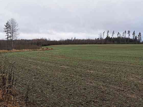 Pārdod divus, blakus esošus zemes īpašumus, to kopējā platība ir 12.49 ha, Lēdurgas pagastā, Sigulda Limbaži un novads