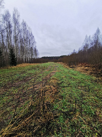 Pārdod divus, blakus esošus zemes īpašumus, to kopējā platība ir 12.49 ha, Lēdurgas Limbaži un novads - foto 3