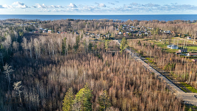 Ziemeļvidzemes biosfēras rezervāta teritorijā, tikai 58 km attālumā no Rīgas centra un 900 Limbaži un novads - foto 1