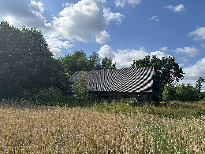 Pārdod nelielu lauku sētu Vidzemē  iespēja piepildīt savu sapni par dzīvi laukos!
Valmieras Valmiera un novads - foto 5