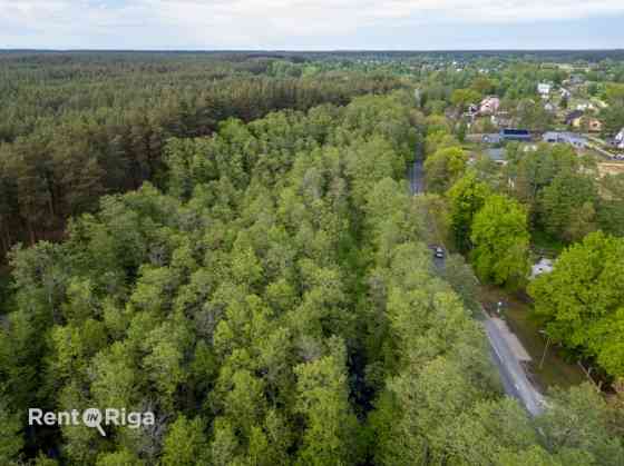 Land plot between Jaunciema gatve and the forest.  The property is located along Jaunciema gatve, be Rīga