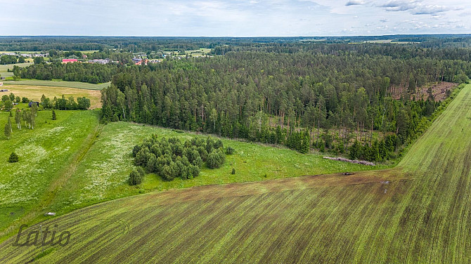 Pārdod ainavisku 7.2 ha zemesgabalu GNP neitrālajā zonā,  no kura daļa atrodas Raganas ciemā, daļa K Рижский район - изображение 4