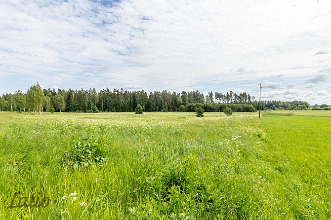 Pārdod ainavisku 7.2 ha zemesgabalu GNP neitrālajā zonā,  no kura daļa atrodas Raganas ciemā, daļa K Рижский район - изображение 1