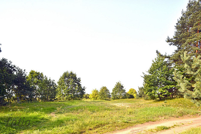 Pārdod unikālu zemesgabalu Ķīšezera krastā, Natura 2000 teritorija, skaista, dabiska Rīga - foto 2
