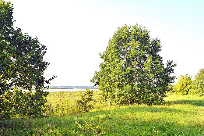 Pārdod unikālu zemesgabalu Ķīšezera krastā, Natura 2000 teritorija, skaista, dabiska Rīga - foto 3