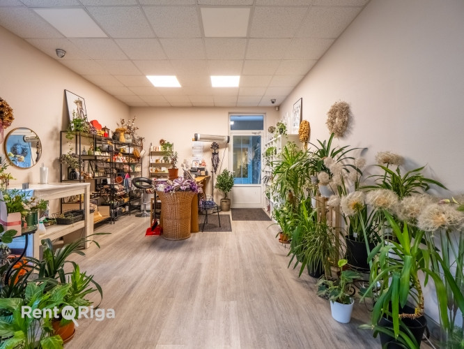 Tirdzniecības telpas jaunā ēkā.  Telpas sastāv no tirdzniecības zāles (46 kvm), kabineta, Rīga - foto 7