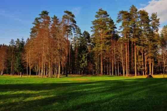 Усадьба всего в 25 км от Риги  уникальная возможность для тех, кто ищет тишину, Daugavpils un novads