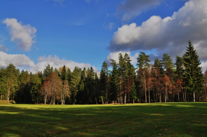 Viensēta tikai 25 km attālumā no Rīgas  unikāla iespēja meklētājiem, kas vēlas mieru, Daugavpils un novads - foto 1