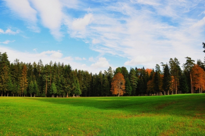 Viensēta tikai 25 km attālumā no Rīgas  unikāla iespēja meklētājiem, kas vēlas mieru, Daugavpils un novads - foto 9
