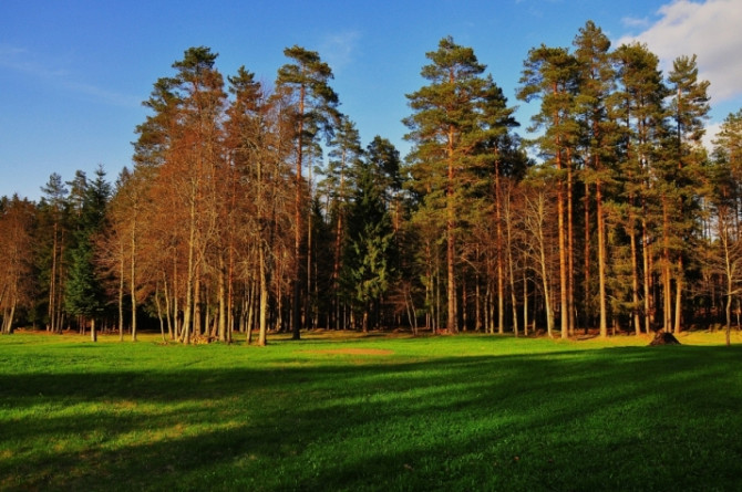 Viensēta tikai 25 km attālumā no Rīgas  unikāla iespēja meklētājiem, kas vēlas mieru, Daugavpils un novads - foto 4