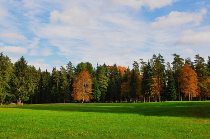 Viensēta tikai 25 km attālumā no Rīgas  unikāla iespēja meklētājiem, kas vēlas mieru, Daugavpils un novads - foto 8