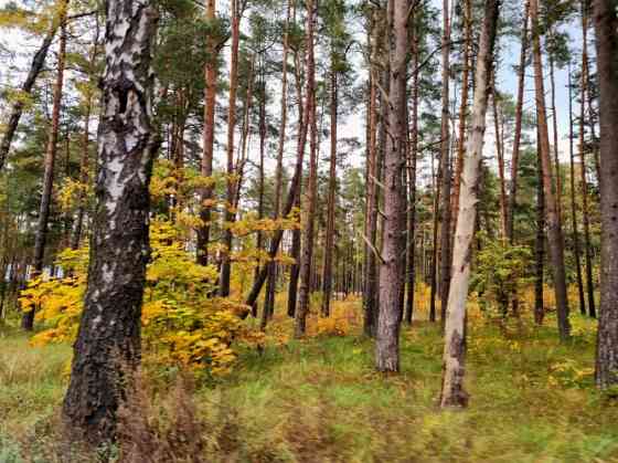 Land Plot with Approved Building Permit for a 6-Unit Townhouse Project  An excellent investment oppo Rīga