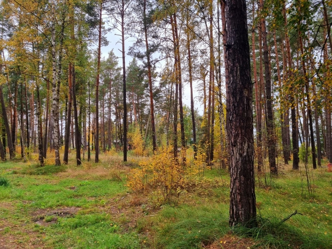 Zemesgabals ar apstiprinātu būvatļauju rindu māju projektam  6 pilnībā optimizētas sekcijas Rīga - foto 6