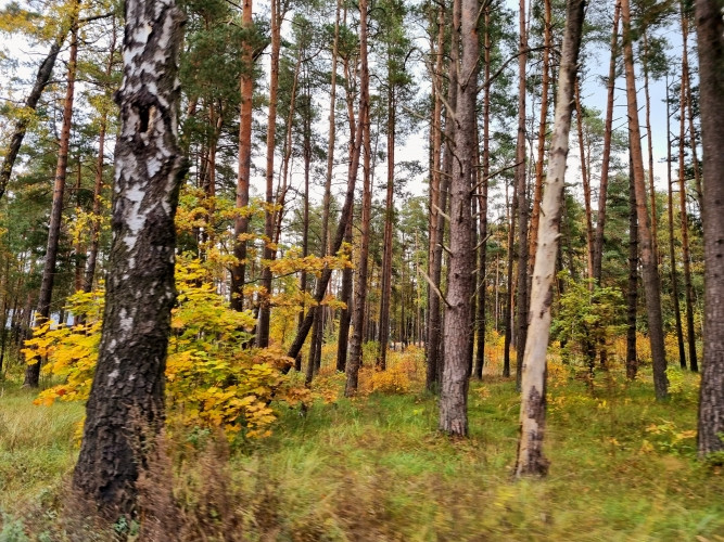 Zemesgabals ar apstiprinātu būvatļauju rindu māju projektam  6 pilnībā optimizētas sekcijas Rīga - foto 3