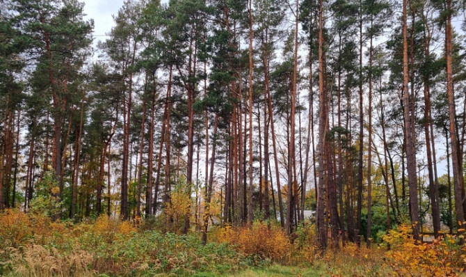 Zemesgabals ar apstiprinātu būvatļauju rindu māju projektam  6 pilnībā optimizētas sekcijas Rīga - foto 9